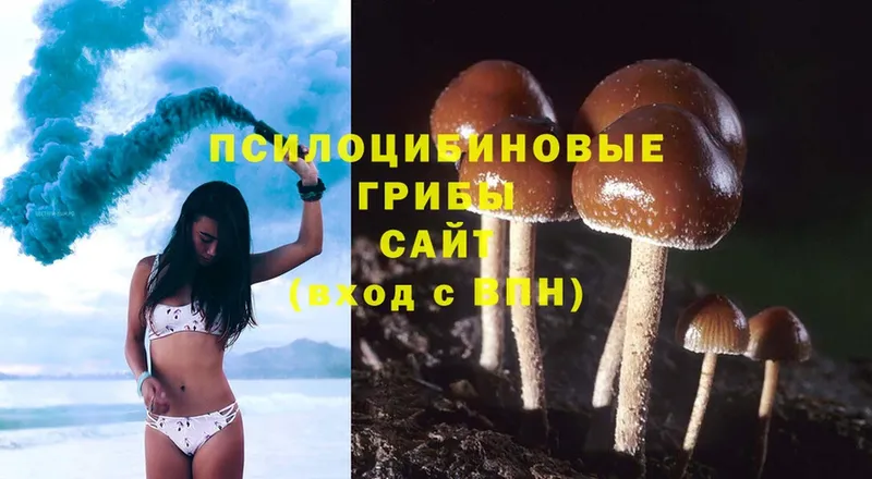 Галлюциногенные грибы Magic Shrooms  Белокуриха 